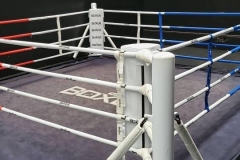 210800910_952559315534308_5429610841325007463_n